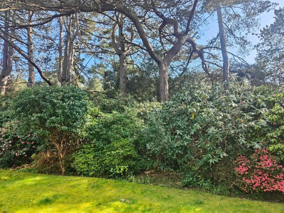 Apartment Peaceful Getaway In Forested Park Bournemouth